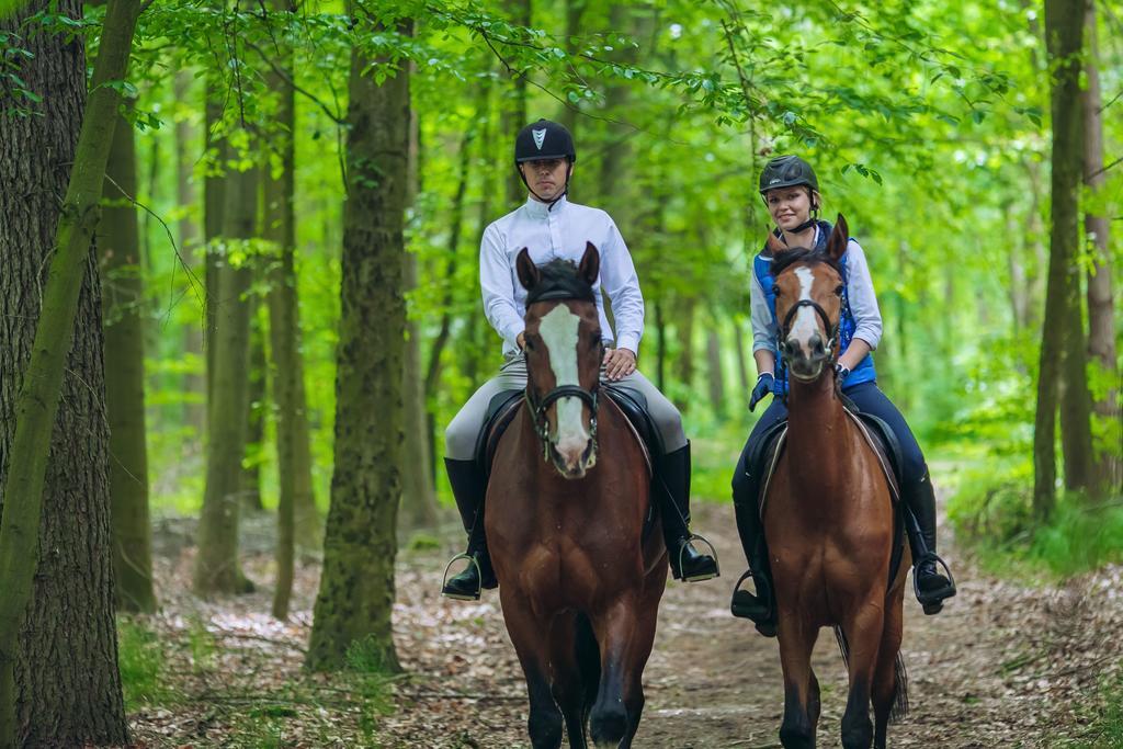 Hubertus Aparthotel & Restaurant & Horse Club Starogard Gdański Quarto foto